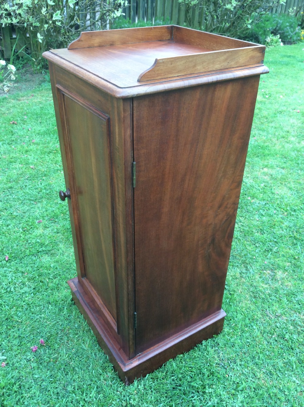 Victorian mahogany bedside cupboard  View IX