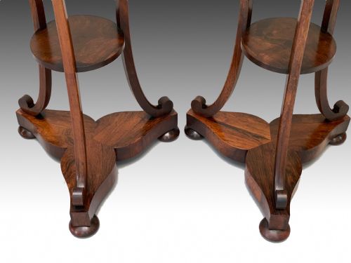PAIR OF ROSEWOOD EARLY VICTORIAN SIDE TABLESSTANDS - ADDITIONAL PHOTO 2