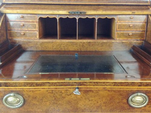 HEPPLEWHITE PERIOD FIGURED YEW WOOD CYLINDER BUREAU - ADDITIONAL PHOTO 5