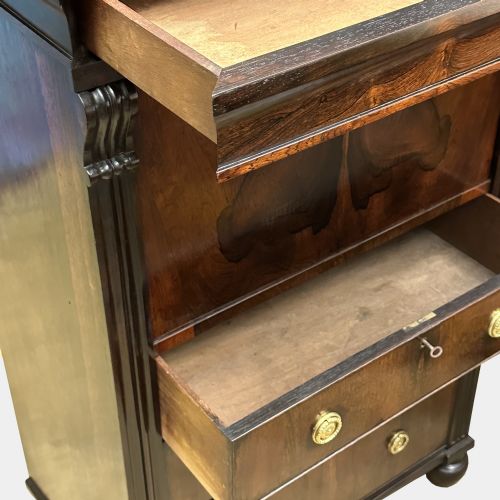 GEORGE IV ROSEWOOD WRITING CABINET WELLINGTON CHEST - ADDITIONAL PHOTO 4