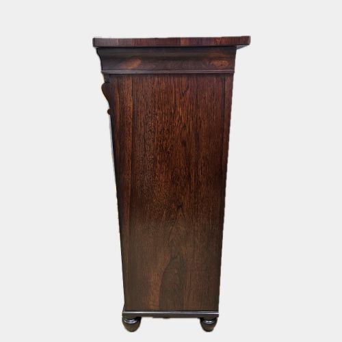 GEORGE IV ROSEWOOD WRITING CABINET WELLINGTON CHEST - ADDITIONAL PHOTO 5