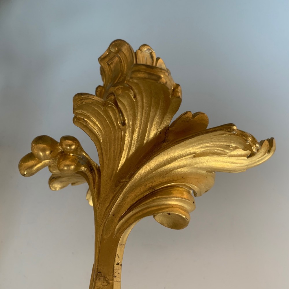 Antique French 19th Century Gilt Bronze Louis XV Style Wall Light Sconce View III