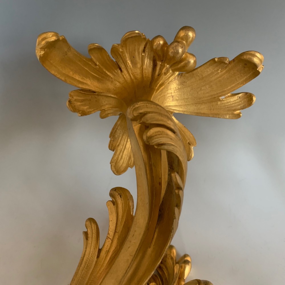 Antique French 19th Century Gilt Bronze Louis XV Style Wall Light Sconce View VI