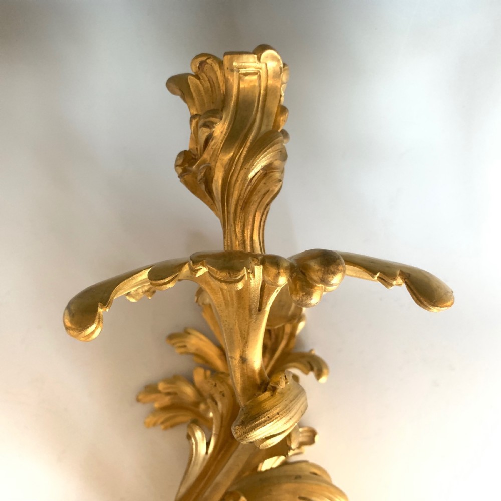 Antique French 19th Century Gilt Bronze Louis XV Style Wall Light Sconce View VII