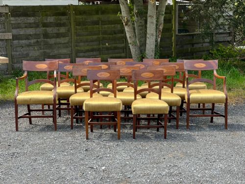 set of 16 georgian mahogany dining chairs with shell inlays - CATEGORY: ANTIQUE CHAIRS - DATED GEORGIAN