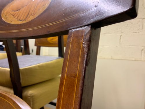 SET OF 16 GEORGIAN MAHOGANY DINING CHAIRS WITH SHELL INLAYS - ADDITIONAL PHOTO 20