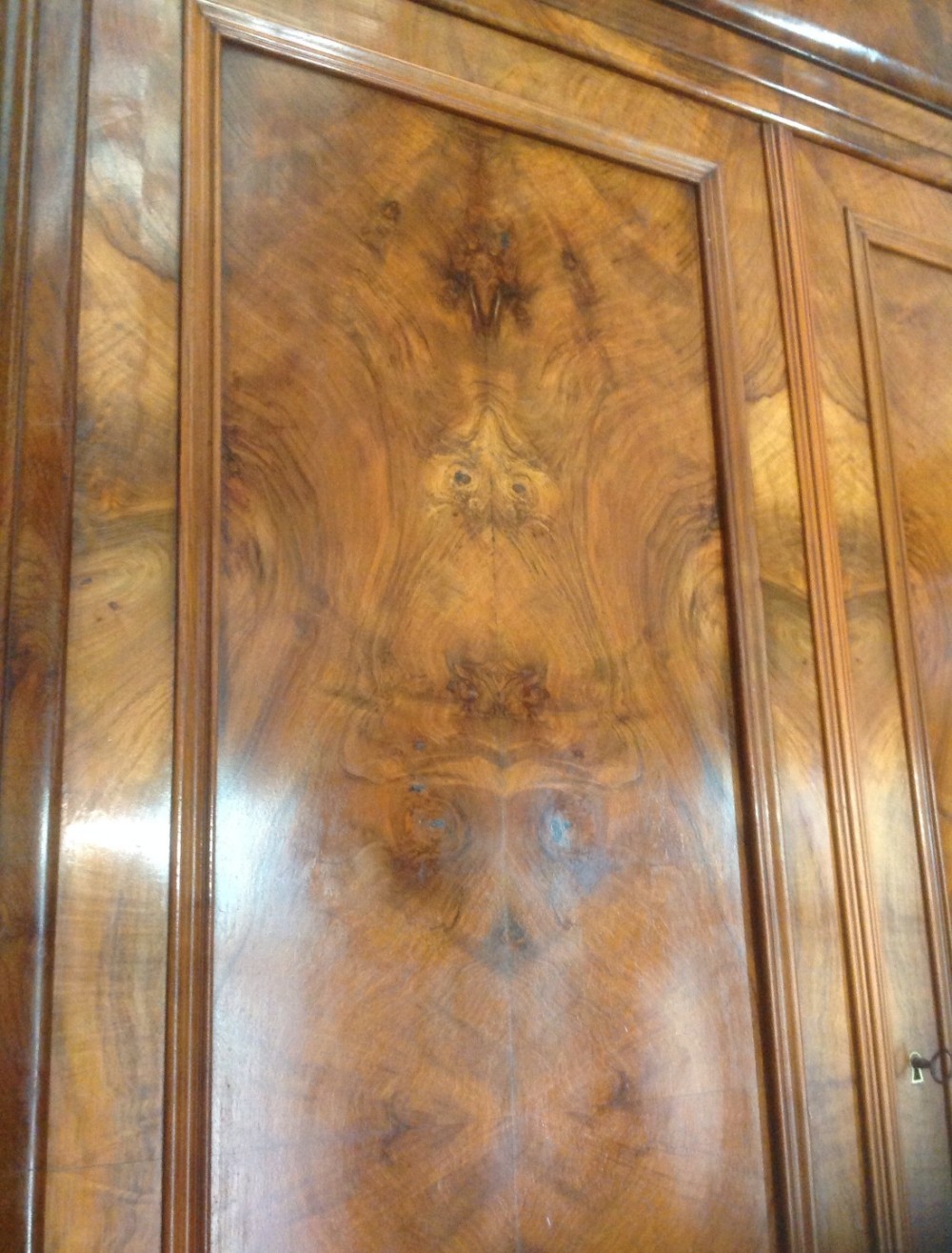 WALNUT FRENCH CUPBOARD View IV