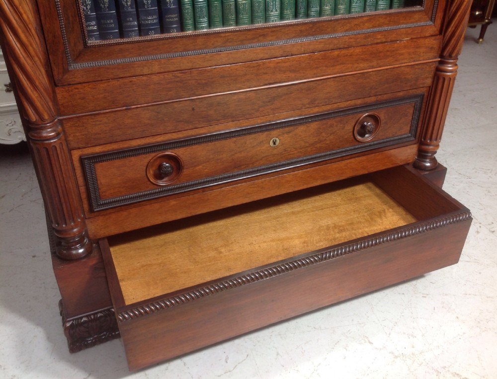 FRENCH ROSEWOOD BOOKCASE View VIII