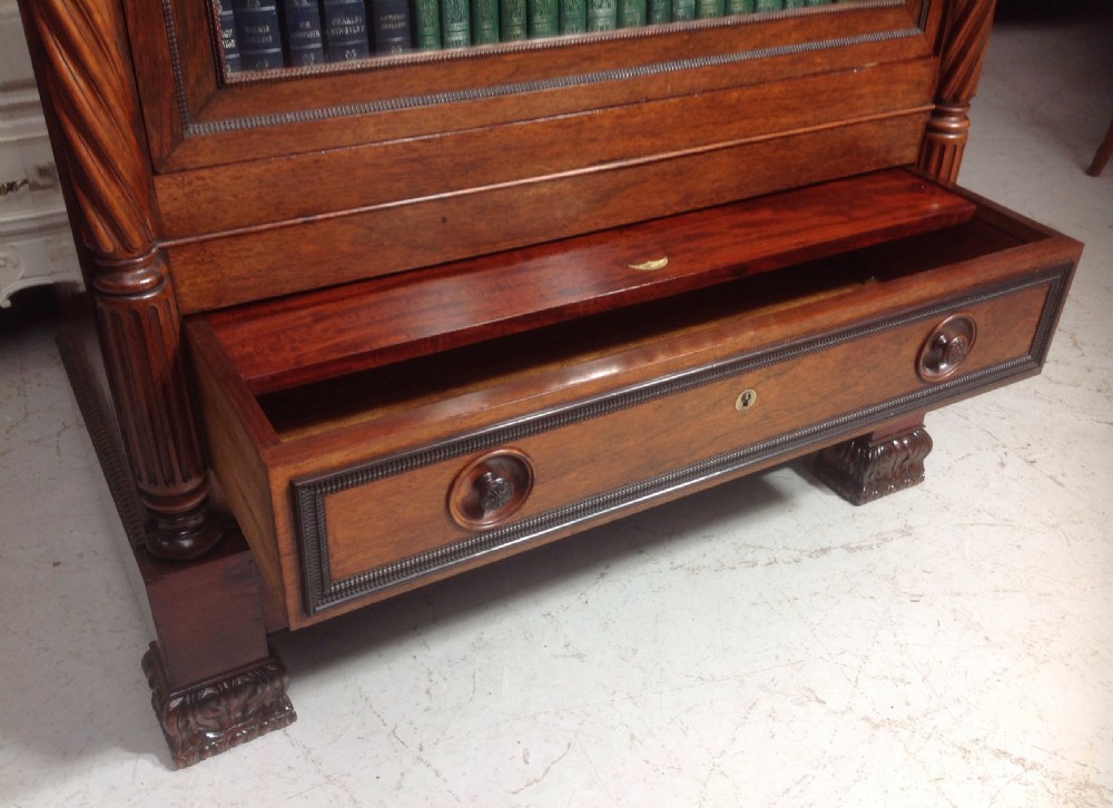 FRENCH ROSEWOOD BOOKCASE View IX