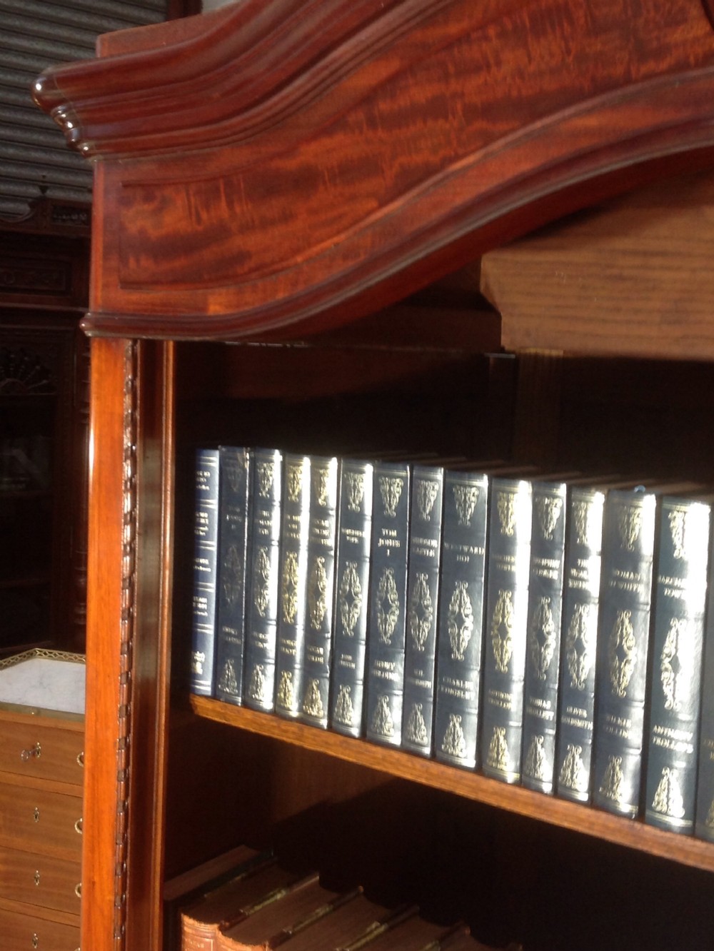 French mahogany bookcase View IV