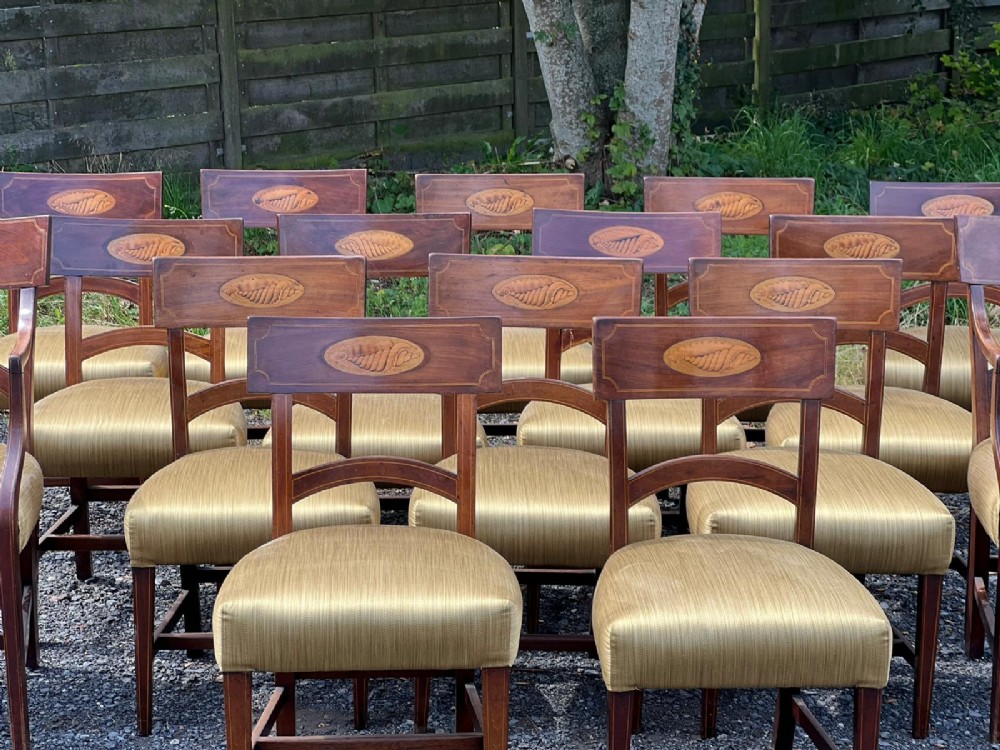 SET OF 16 GEORGIAN MAHOGANY DINING CHAIRS WITH SHELL INLAYS  View II