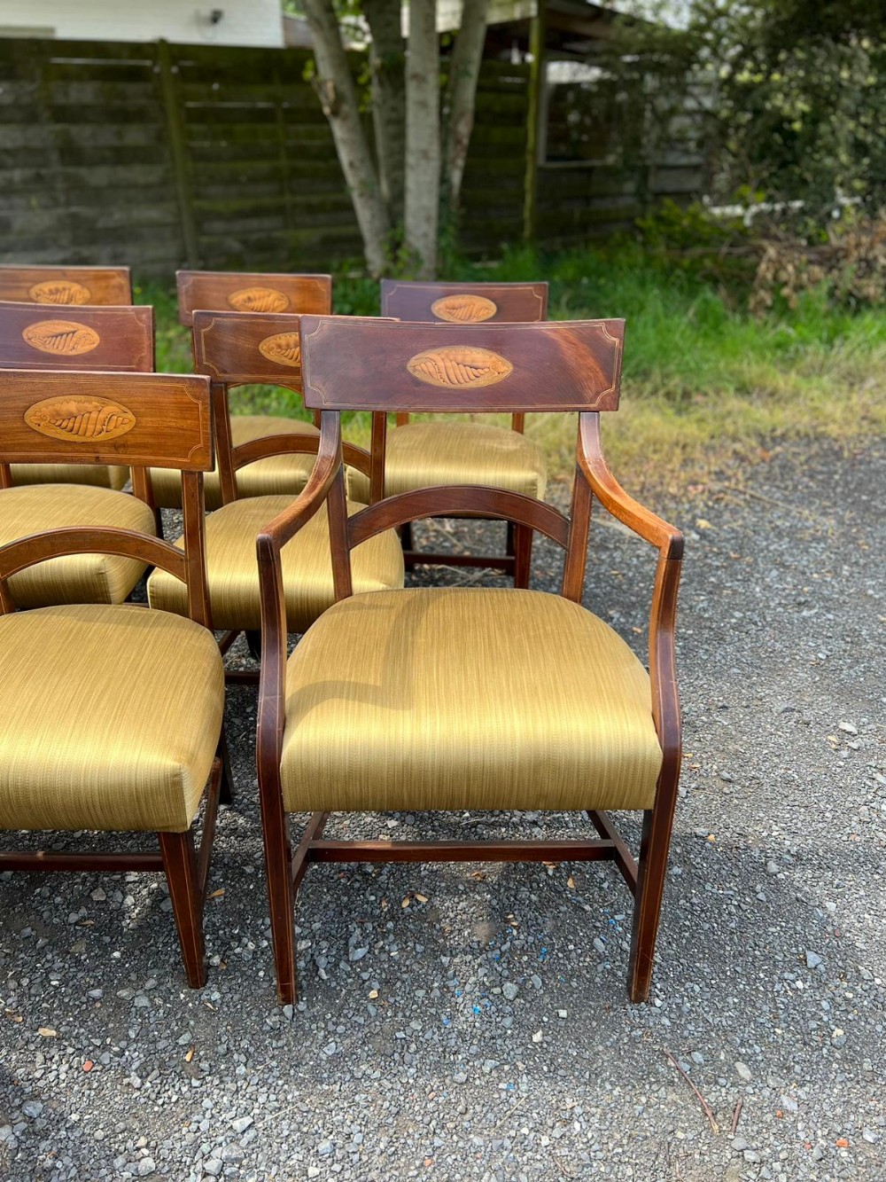 SET OF 16 GEORGIAN MAHOGANY DINING CHAIRS WITH SHELL INLAYS  View V