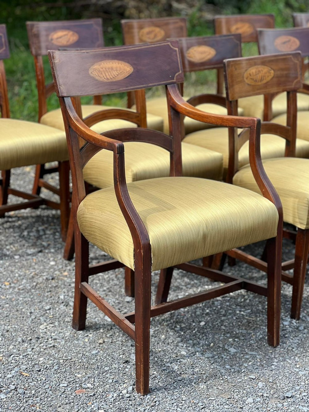 SET OF 16 GEORGIAN MAHOGANY DINING CHAIRS WITH SHELL INLAYS  View VII