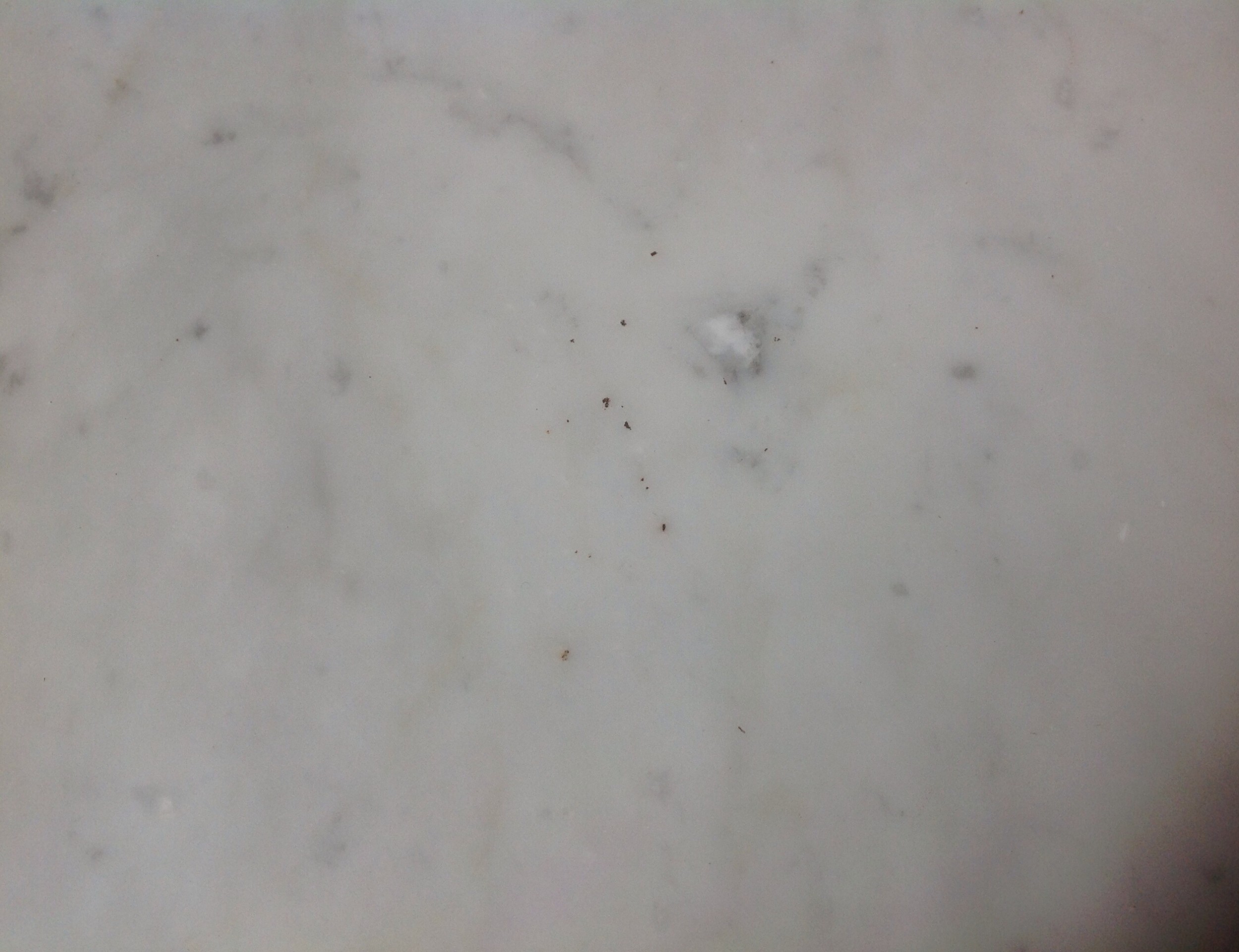 Detail View 6