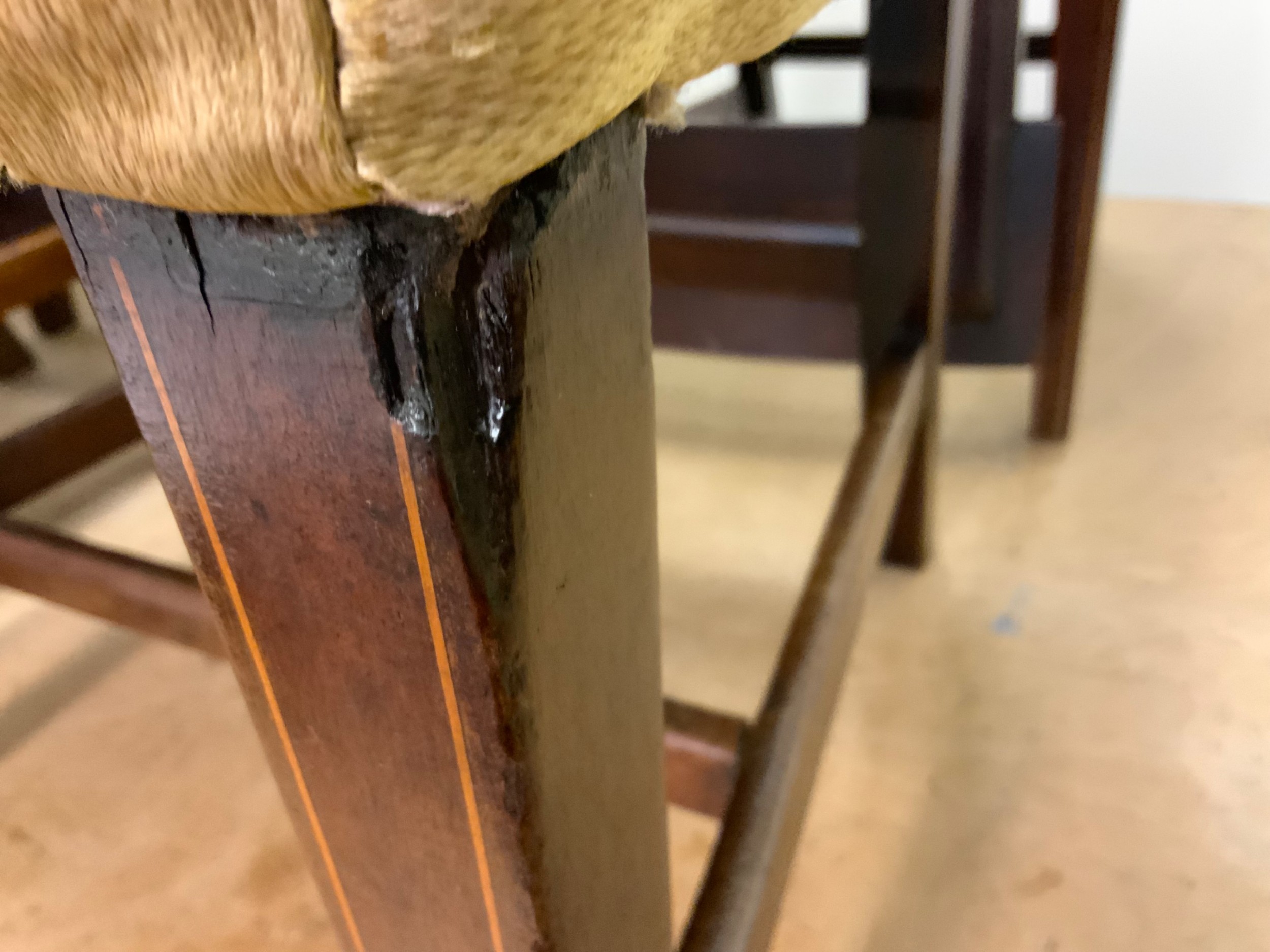 Detail View 19