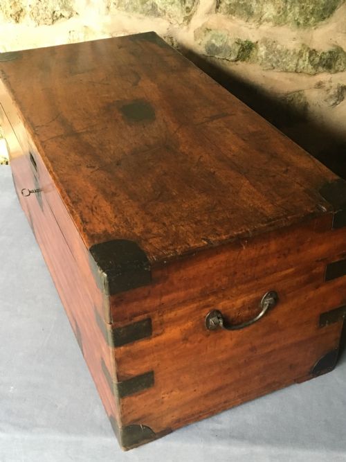BLANKET CHEST OR TRUNK IN CAMPHORWOOD - ADDITIONAL PHOTO 14