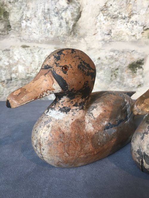 MAGNIFICENT PAIR OF DECOY DUCKS - ADDITIONAL PHOTO 4