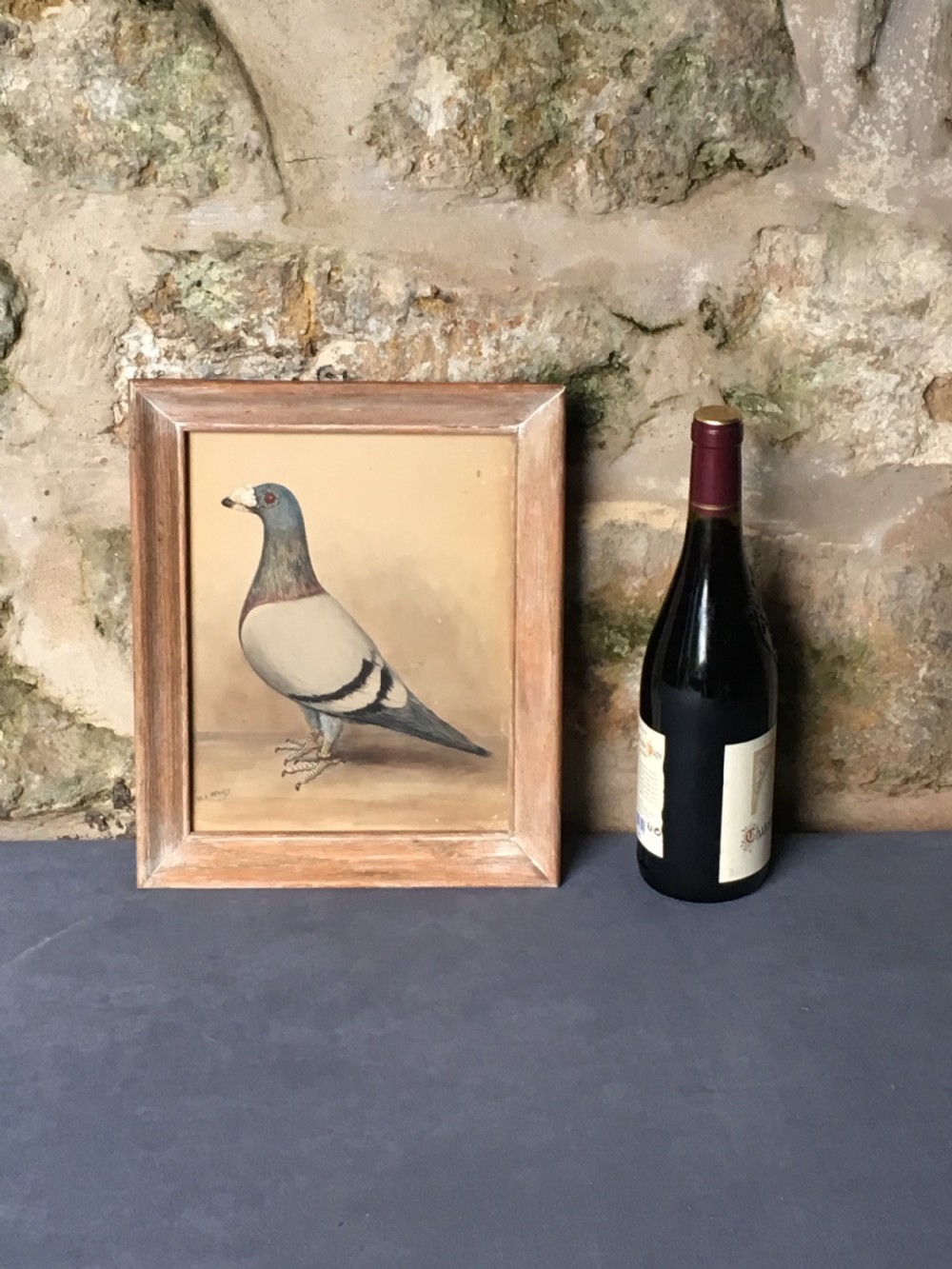 Original early 20th century pigeon picture  View II