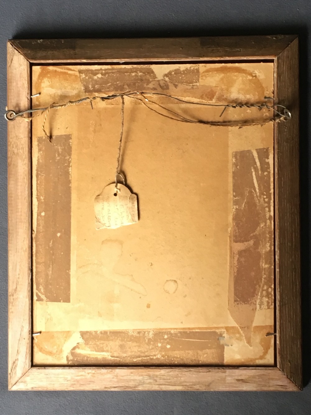 Original early 20th century pigeon picture  View XIV