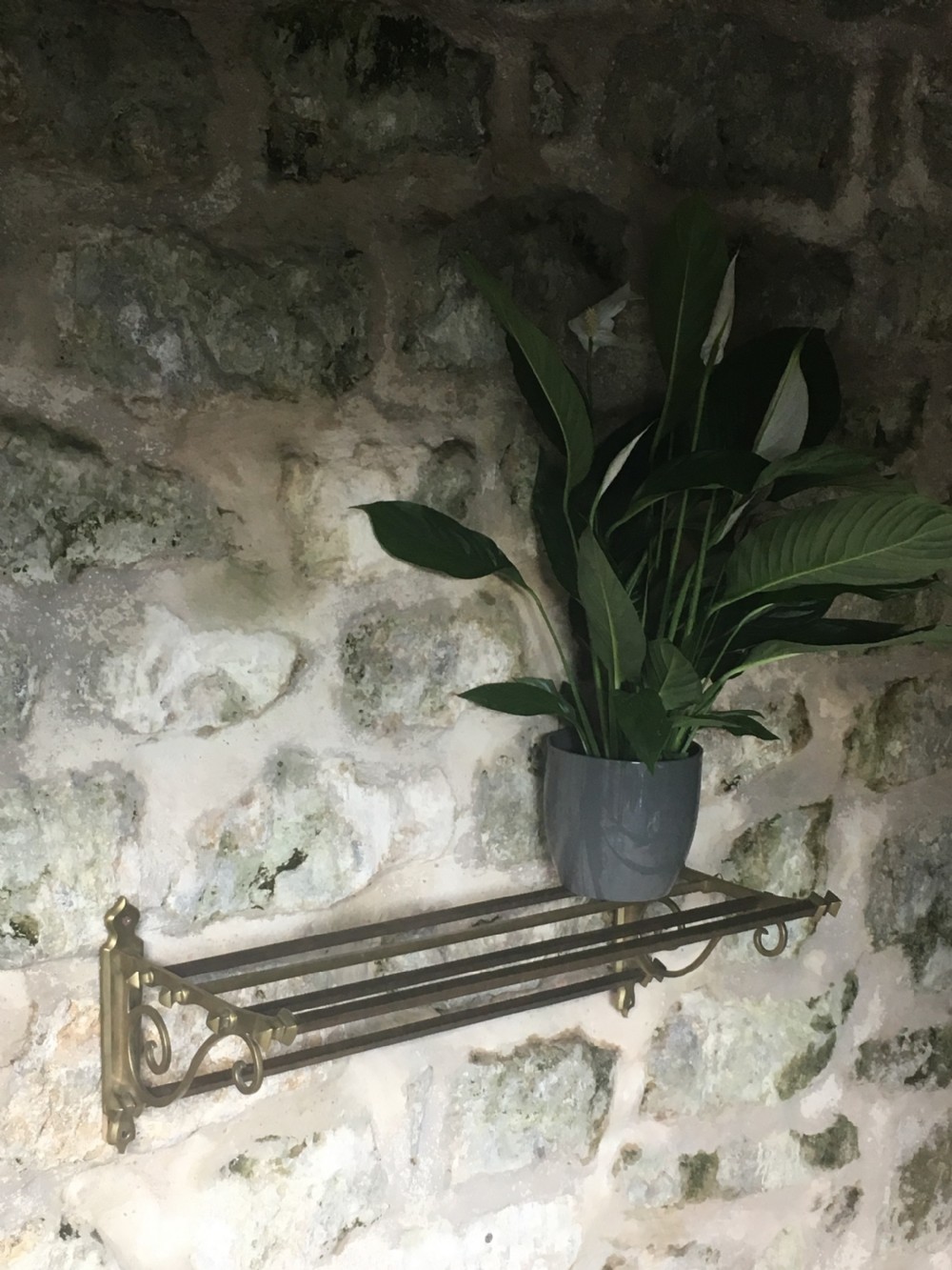 Early c20th wall-mounted shelf View II