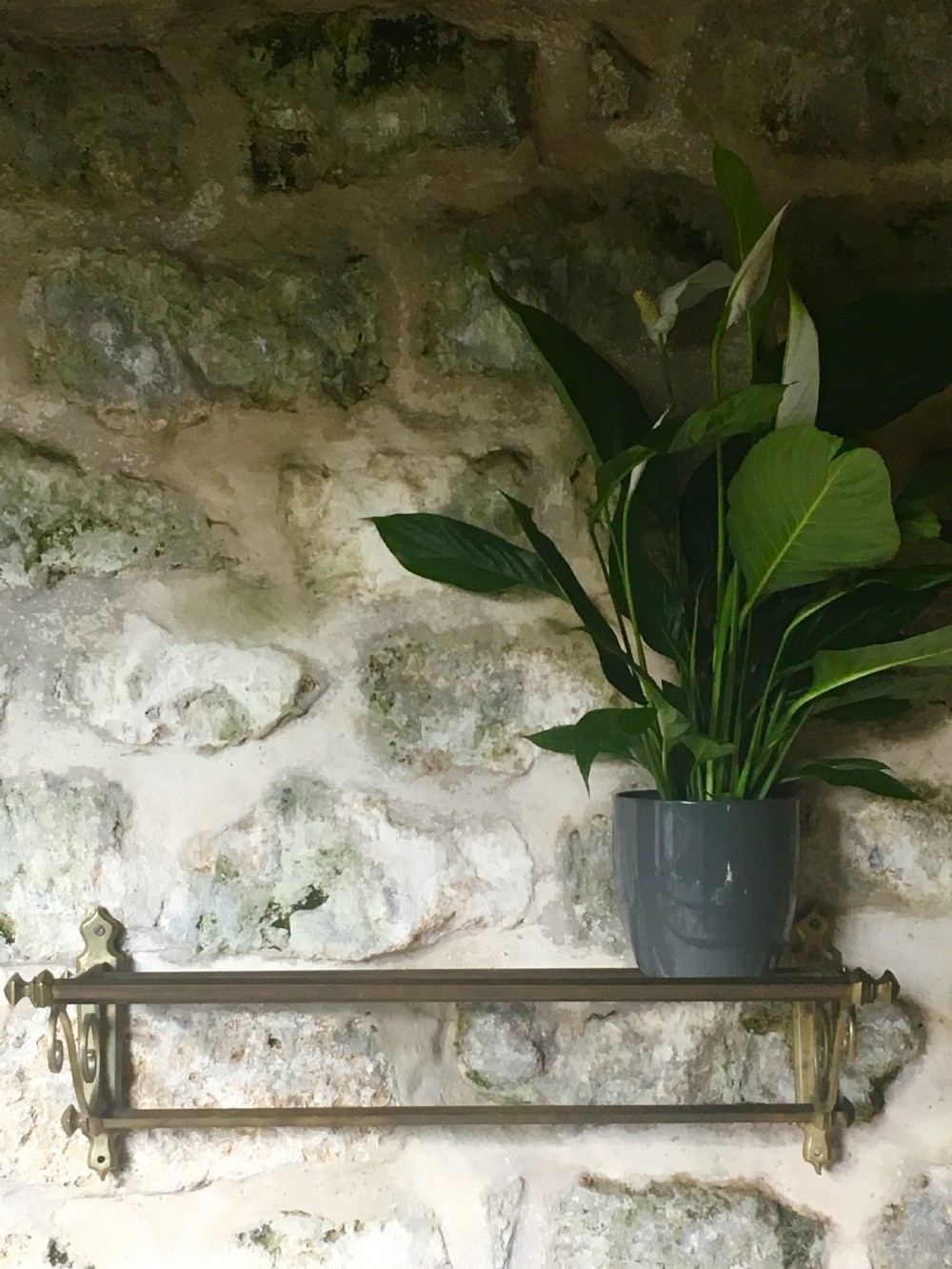 Early c20th wall-mounted shelf View V