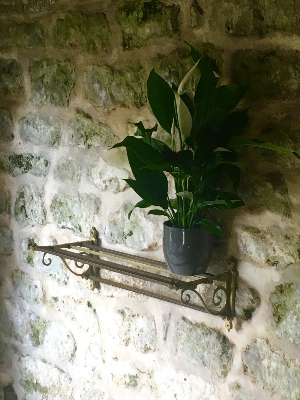 Early c20th wall-mounted shelf View VI
