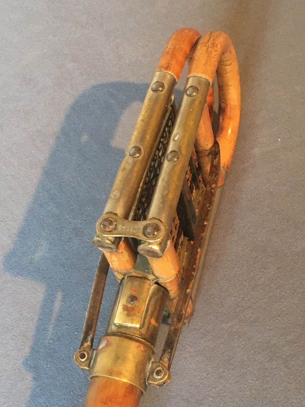 Edwardian Shooting Stick View XIX