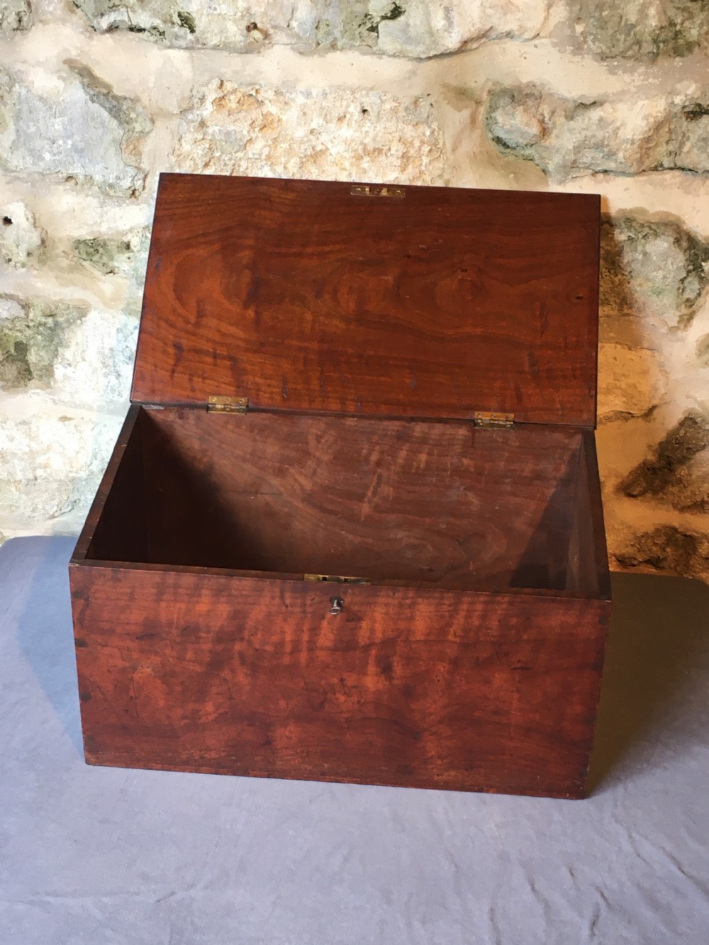 High quality storage trunk View XX