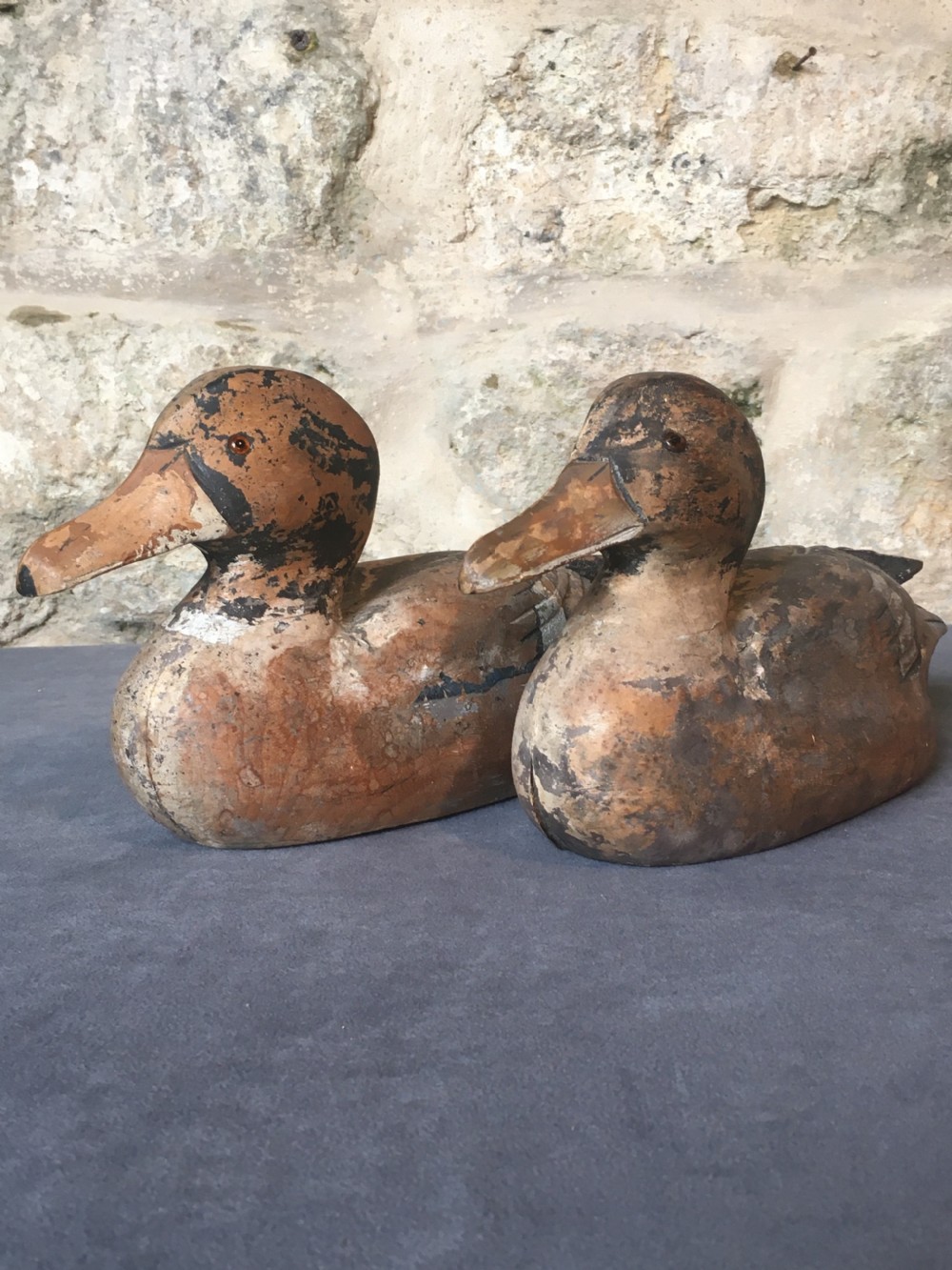 Magnificent pair of decoy ducks View III