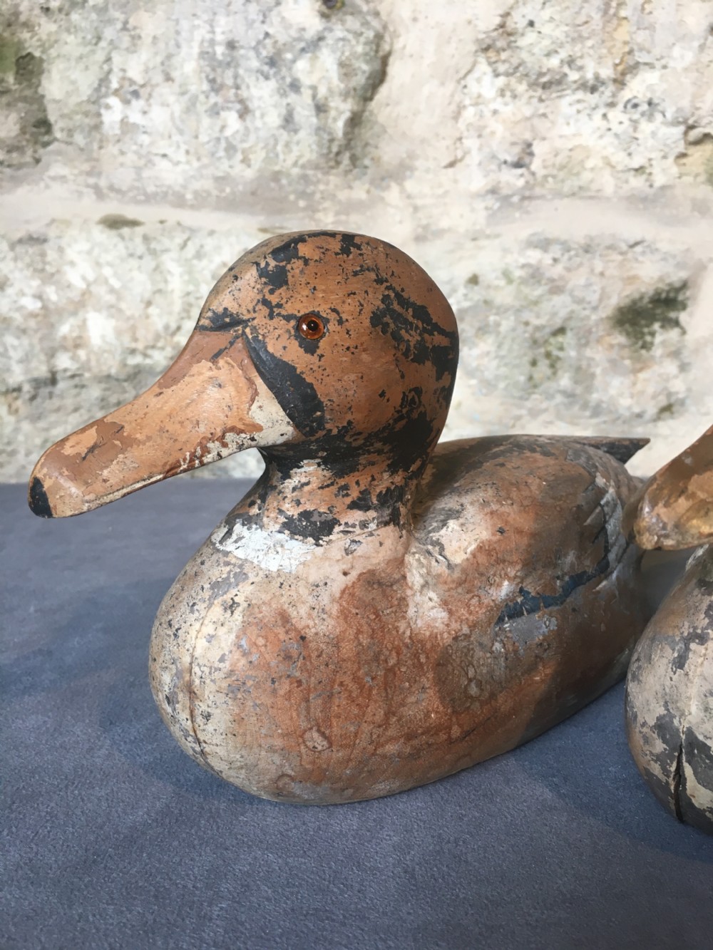 Magnificent pair of decoy ducks View V