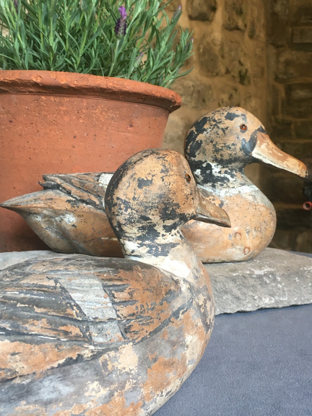 Magnificent pair of decoy ducks View XXIII