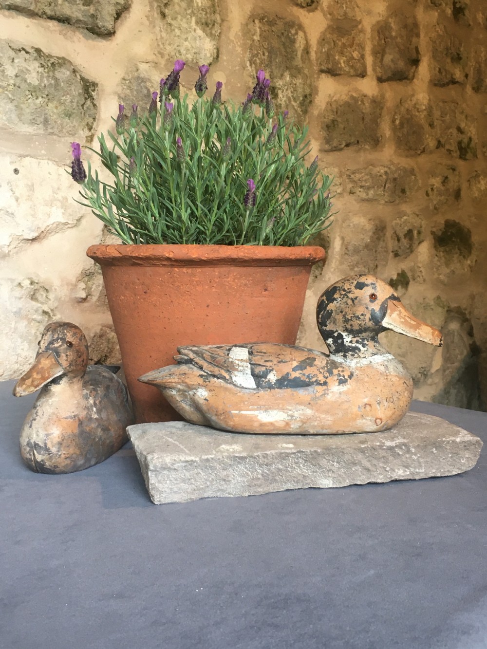 Magnificent pair of decoy ducks View XXIV