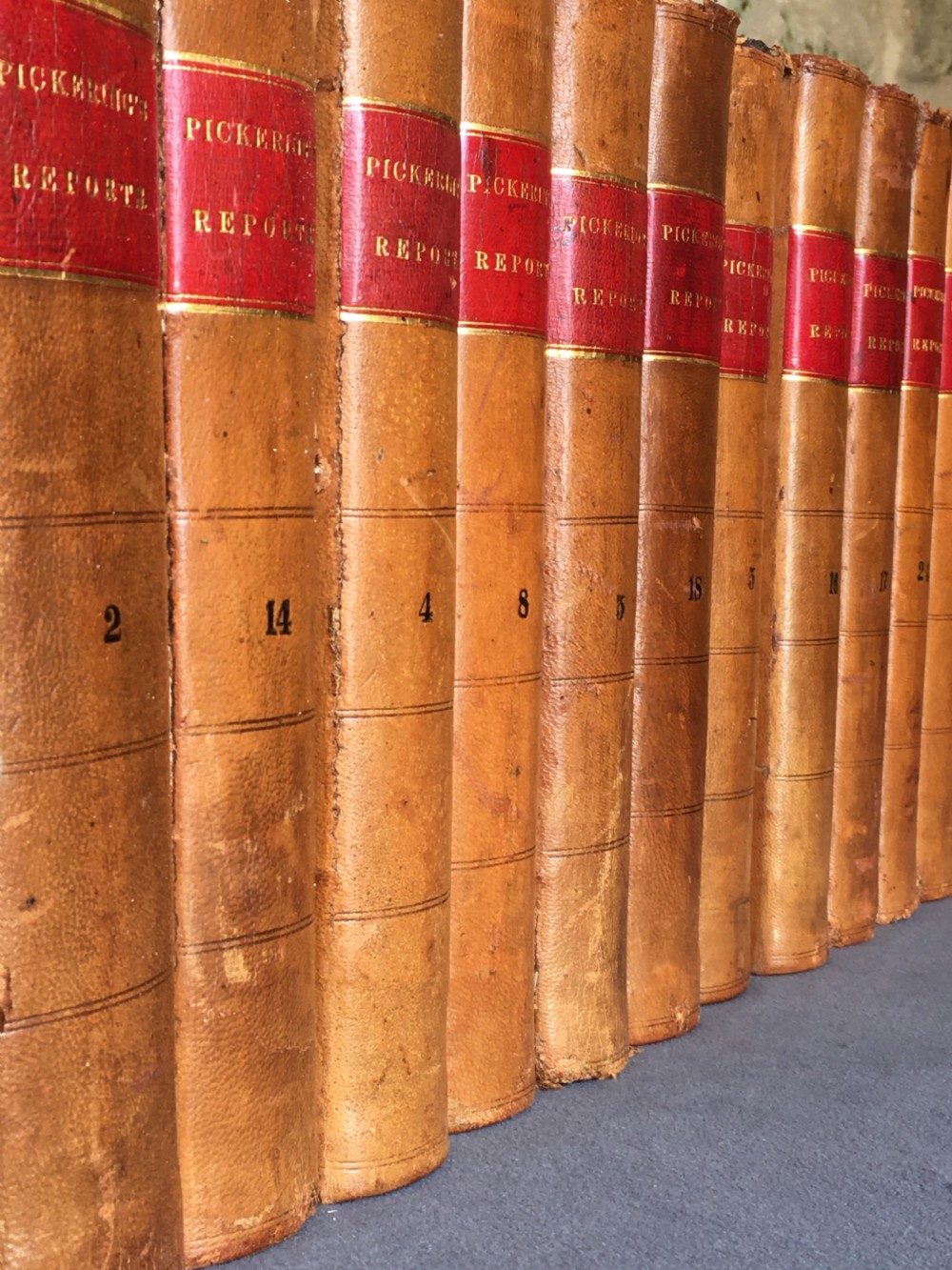 A run of 23 leather-bound books View VIII