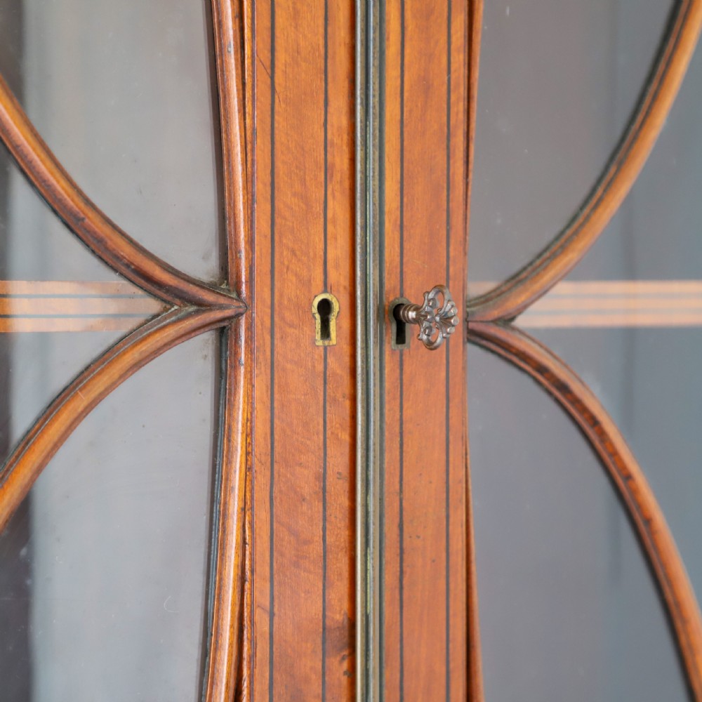Satinwood Bowfront Bookcase with Inlaid Doors View VI