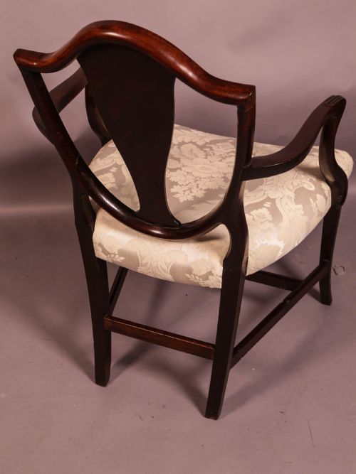 HEPPLEWHITE PERIOD CARVER CHAIR - ADDITIONAL PHOTO 2