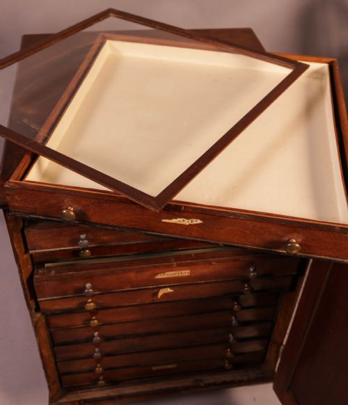 A GOOD VICTORIAN COLECTORS CABINET 11 DRAWERS - ADDITIONAL PHOTO 6