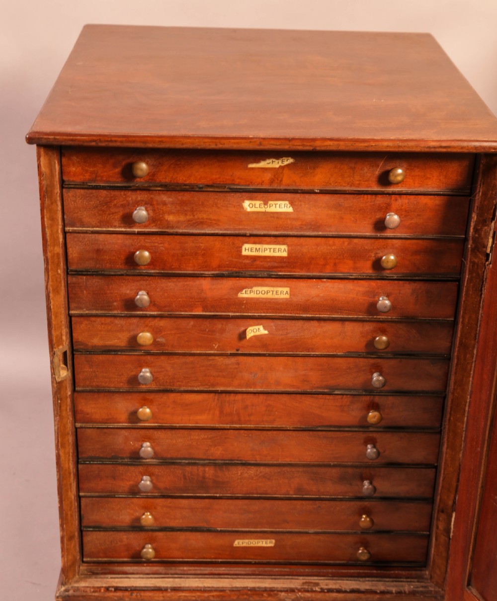 A rich brown mahogany Victorian collectors cabinet with a arched panel door and carved spandrels. View II