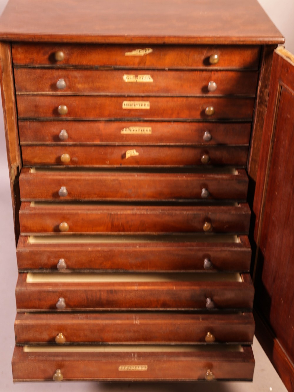 A rich brown mahogany Victorian collectors cabinet with a arched panel door and carved spandrels. View V