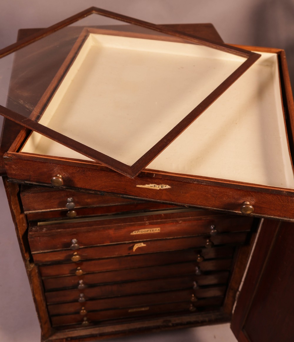 A rich brown mahogany Victorian collectors cabinet with a arched panel door and carved spandrels. View VII