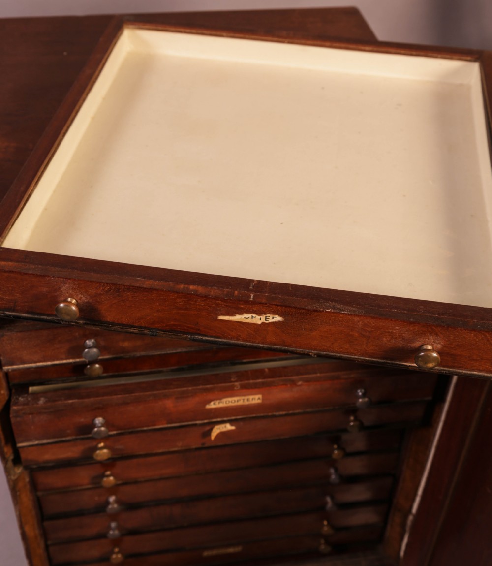 A rich brown mahogany Victorian collectors cabinet with a arched panel door and carved spandrels. View VIII