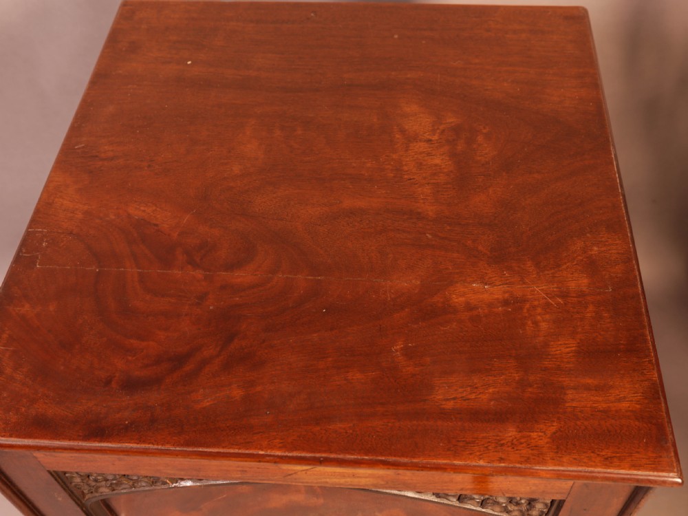 A rich brown mahogany Victorian collectors cabinet with a arched panel door and carved spandrels. View XIII