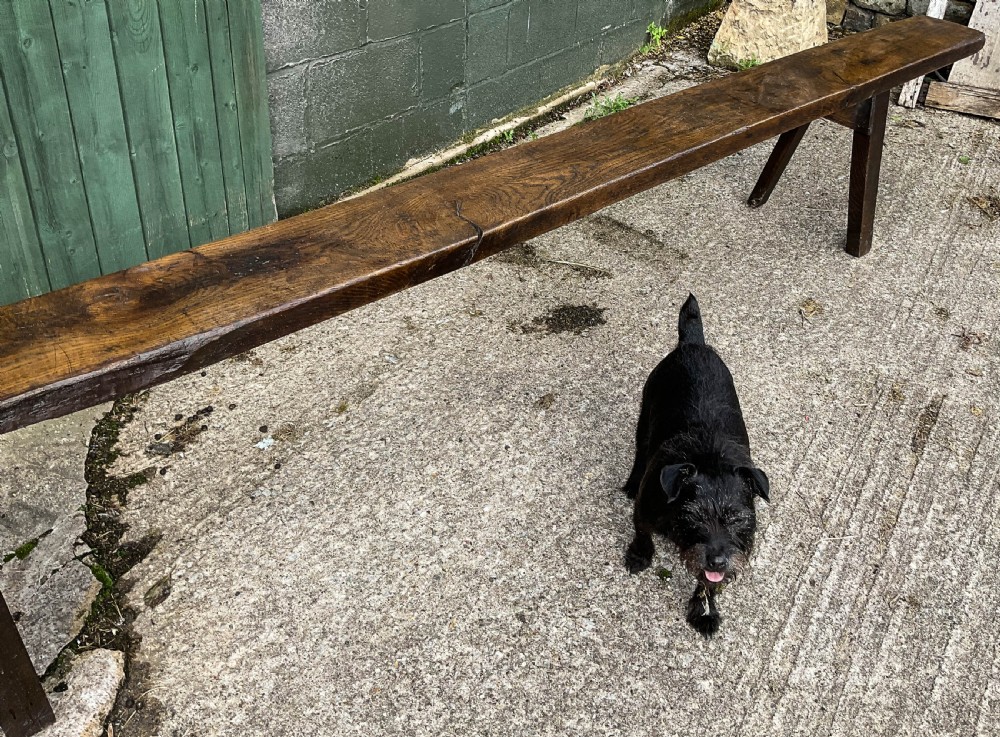 An exceptionally long 18th-century dark oak bench with a single-plank seat and splayed rectangular legs. View X
