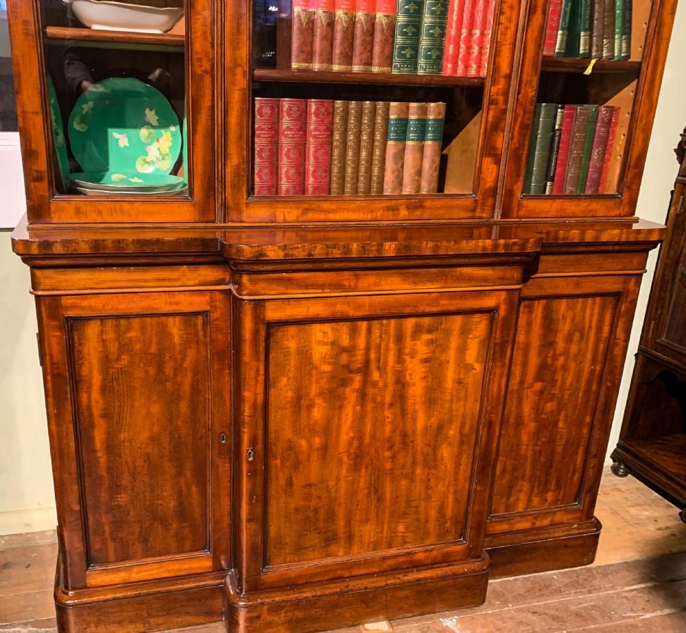 A 19th-century mahogany library bookcase featuring a carved arch pediment, glazed upper doors filled with books, and panelled cupboard doors below. View IV