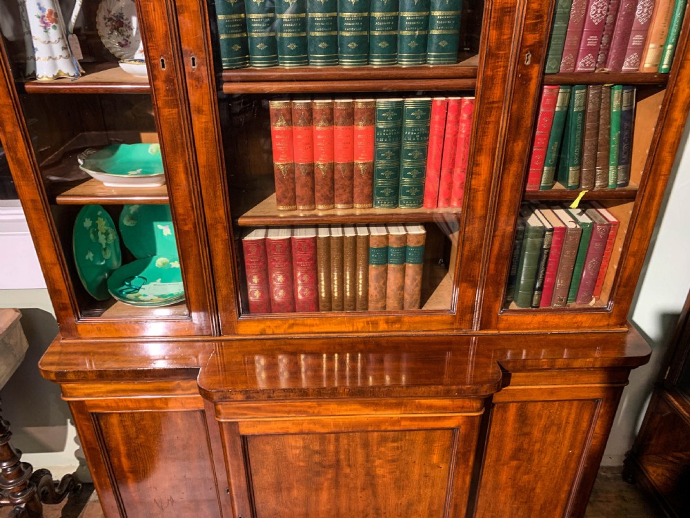 A 19th-century mahogany library bookcase featuring a carved arch pediment, glazed upper doors filled with books, and panelled cupboard doors below. View VII