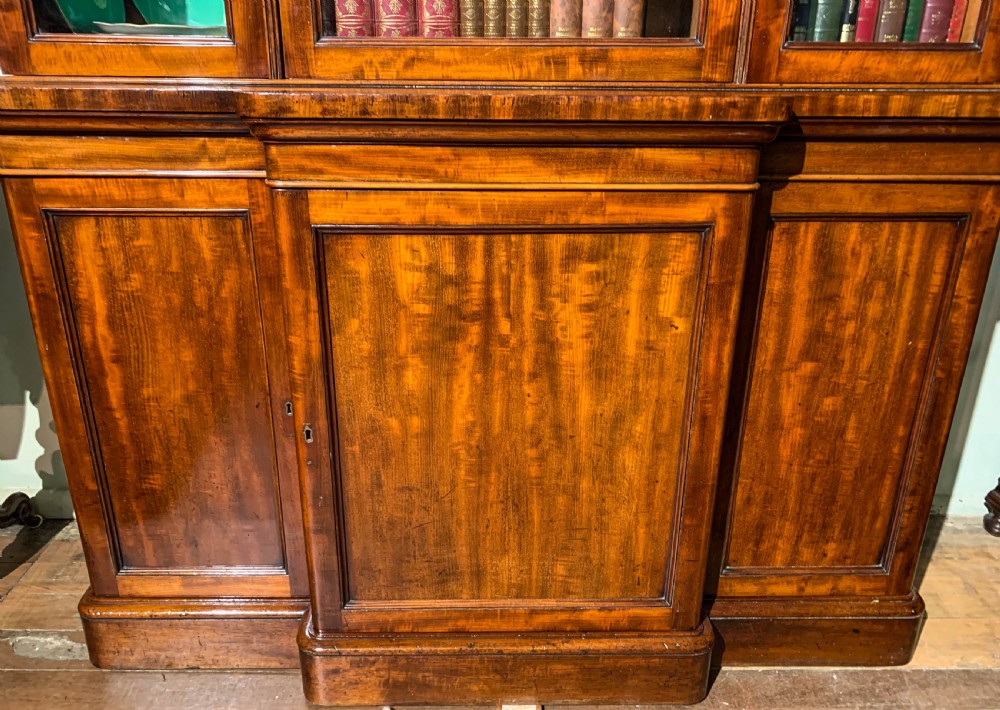 A 19th-century mahogany library bookcase featuring a carved arch pediment, glazed upper doors filled with books, and panelled cupboard doors below. View IX