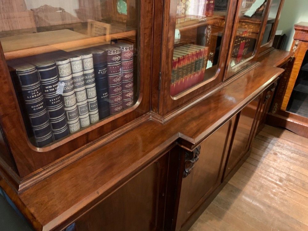 A  19th century 4 door library bookcase View VI