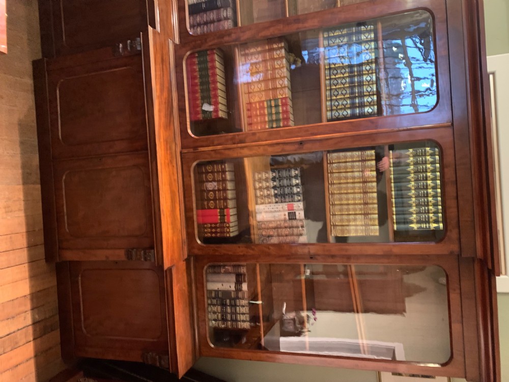 A  19th century 4 door library bookcase View IX