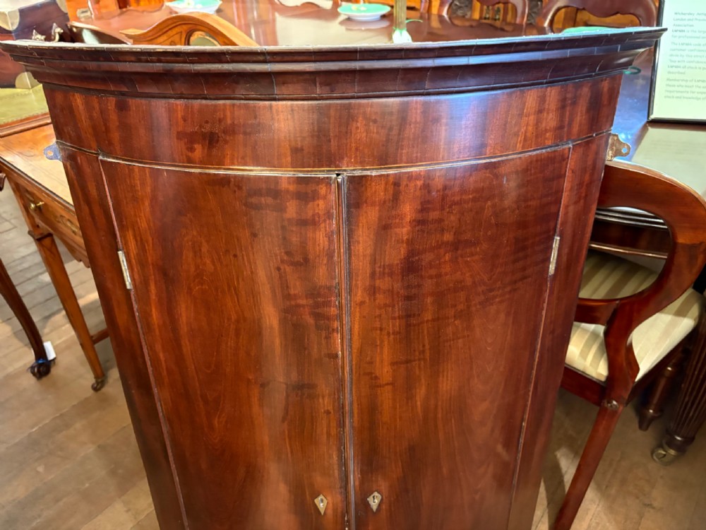 A fine Georgian mahogany corner cupboard  View II