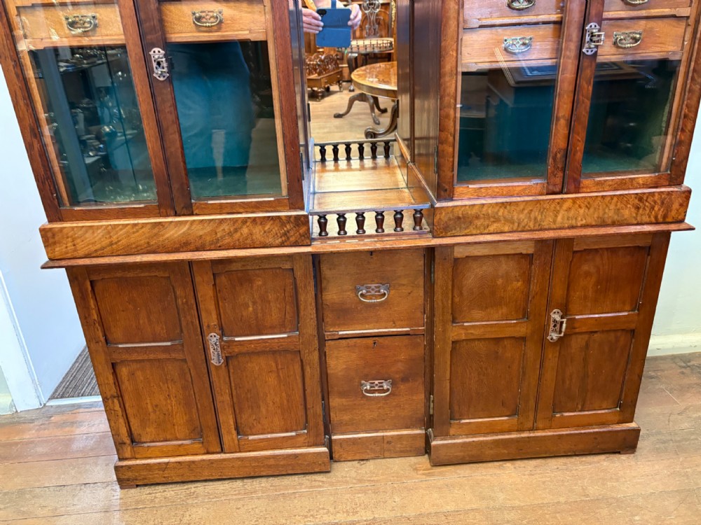 A Victorian walnut collectors cabinet featuring glazed upper doors revealing shallow specimen drawers, a spindled top gallery, a central mirrored recess, and a lower panelled cupboard base with brass handles. View IV