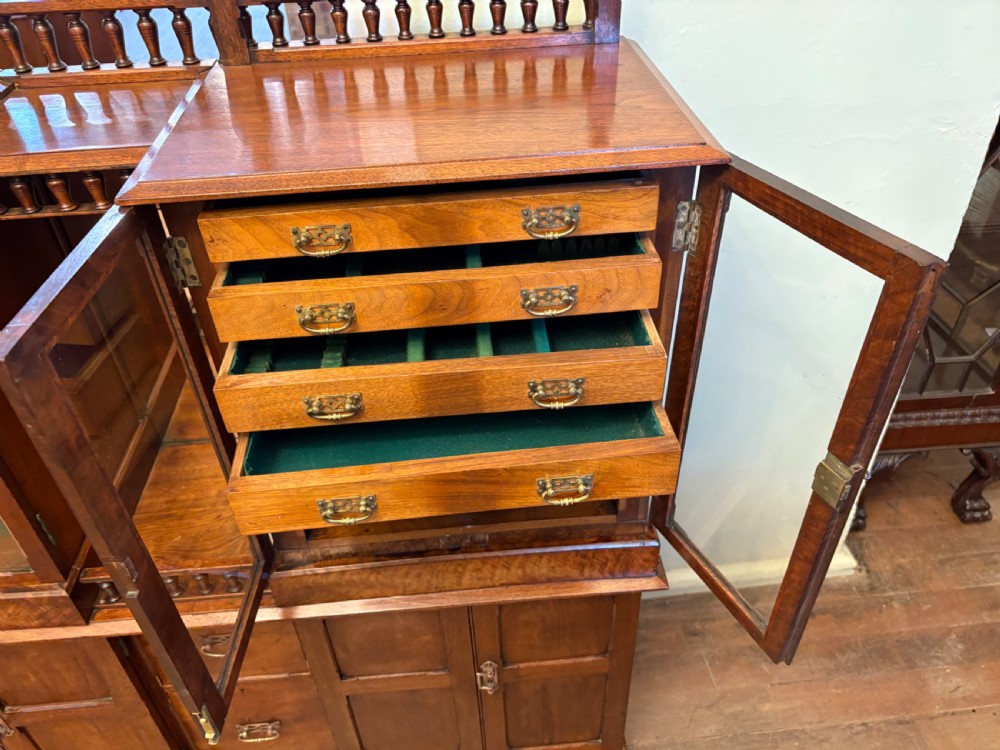A Victorian walnut collectors cabinet featuring glazed upper doors revealing shallow specimen drawers, a spindled top gallery, a central mirrored recess, and a lower panelled cupboard base with brass handles. View VIII